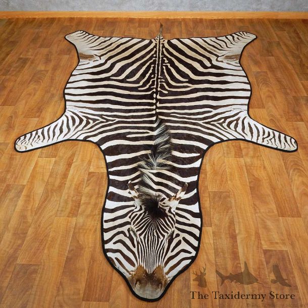 African Zebra Rug Mount For Sale #15265 @ The Taxidermy Store