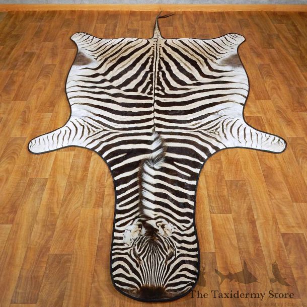 African Zebra Rug Mount For Sale #15266 @ The Taxidermy Store