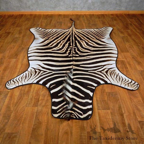 African Zebra Rug Mount For Sale #15268 @ The Taxidermy Store