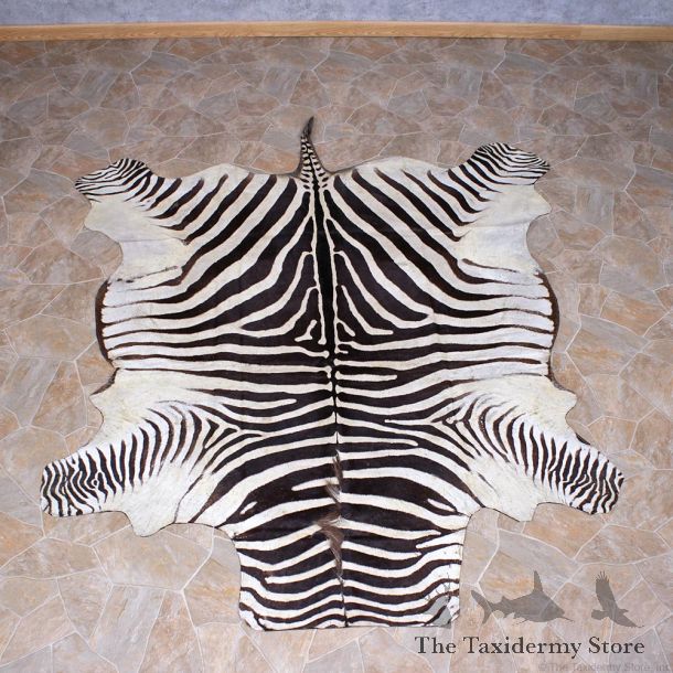 Zebra Rug Taxidermy Mount #10959 For Sale @ The Taxidermy Store