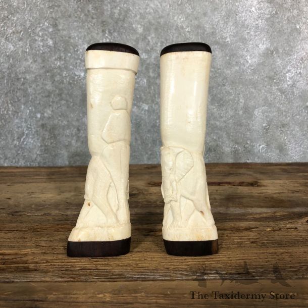 African Giraffe Bone Salt Shakers For Sale #19582 @ The Taxidermy Store