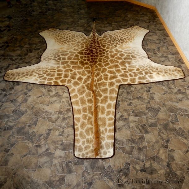 African Giraffe Taxidermy Rug For Sale #19312 @ The Taxidermy Store