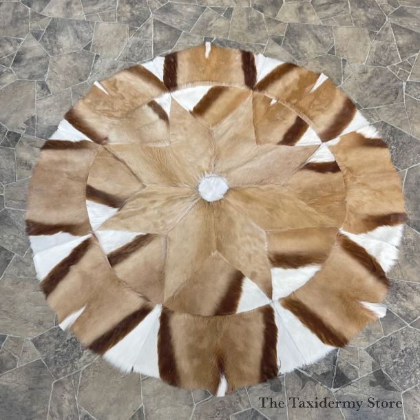 African Springbok Hide Throw For Sale #27907 @ The Taxidermy Store