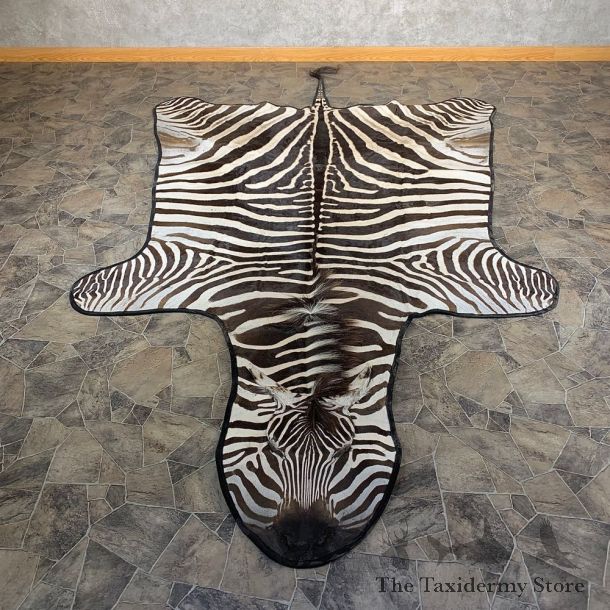 African Zebra Full-Size Taxidermy Rug For Sale #21184 @ The Taxidermy Store
