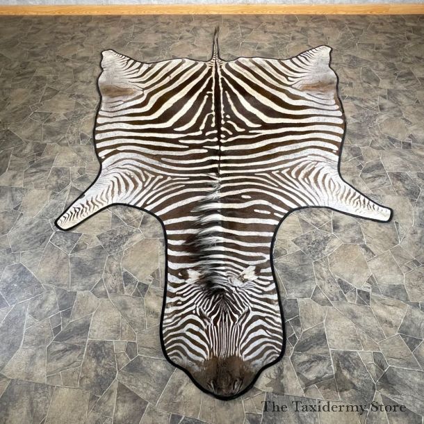 African Zebra Full-Size Taxidermy Rug For Sale #24316 @ The Taxidermy Store