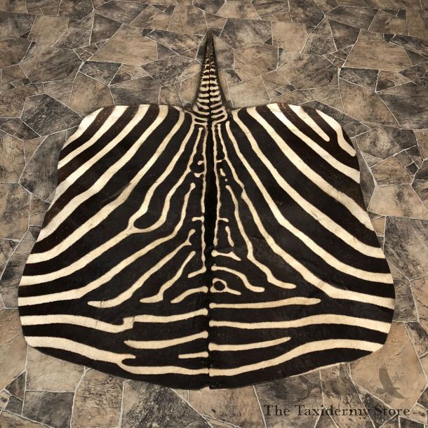 African Zebra Taxidermy Throw Rug For Sale #20068 @ The Taxidermy Store