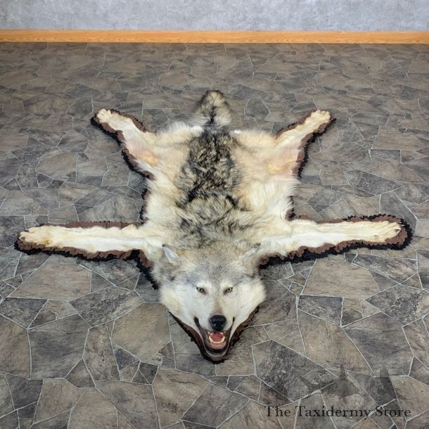 Alaskan Gray Wolf Rug Taxidermy Mount For Sale #22700 @ The Taxidermy Store