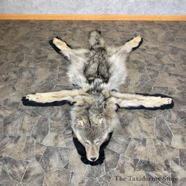 Alaskan Grey Wolf Rug Taxidermy Mount For Sale #23318 @ The Taxidermy Store