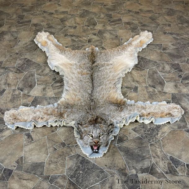 Alaskan Lynx Taxidermy Full-Size Rug Mount For Sale #24307 @ The Taxidermy Store