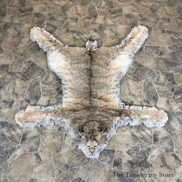 Alaskan Lynx Taxidermy Full-Size Rug Mount For Sale #24308 @ The Taxidermy Store