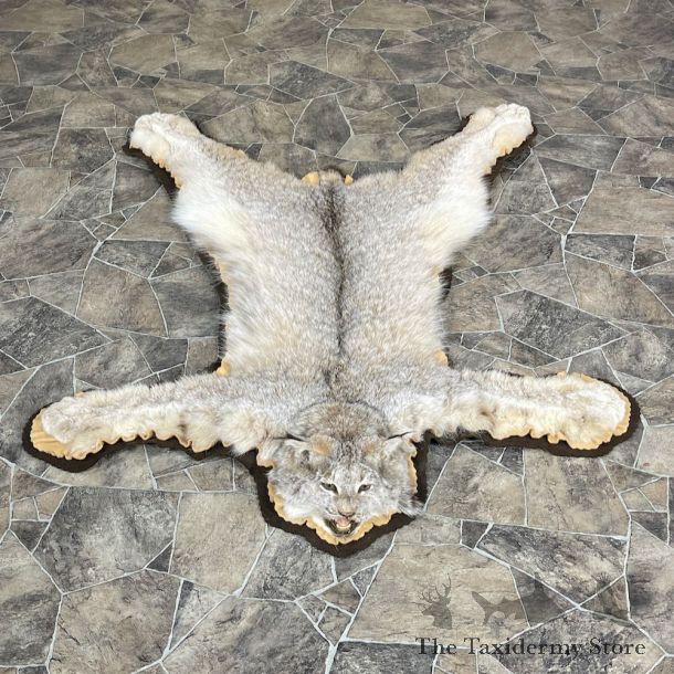 Alaskan Lynx Taxidermy Full-Size Rug Mount For Sale #25263 @ The Taxidermy Store