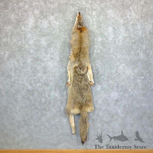 Alaskan Yukon Wolf Tanned Hide For Sale #22881 @ The Taxidermy Store