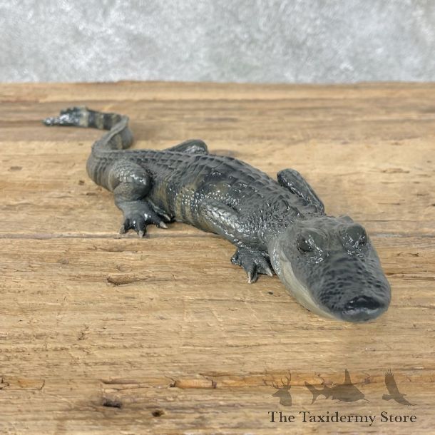 Alligator Replica Mount For Sale #26016 @ The Taxidermy Store