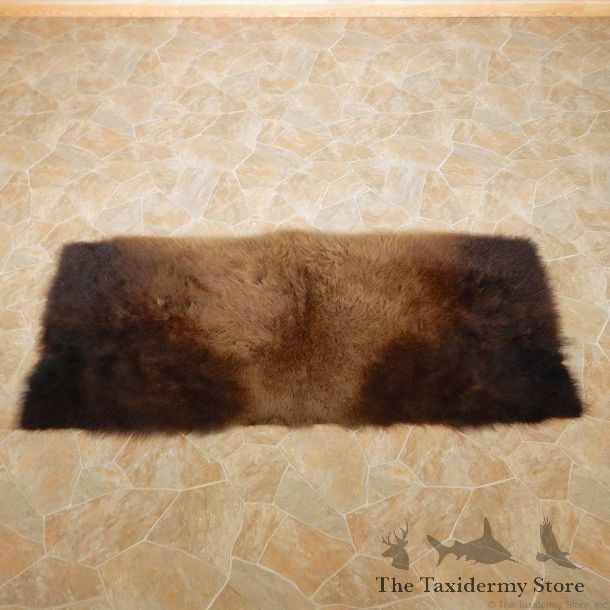 American Buffalo Bison Rug For Sale #14727 @ The Taxidermy Store