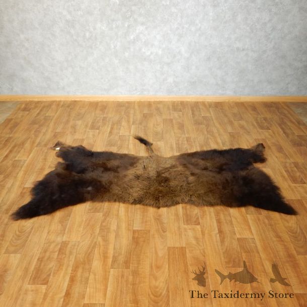 American Buffalo Bison Circle Taxidermy Rug For Sale #17444 - The Taxidermy Store