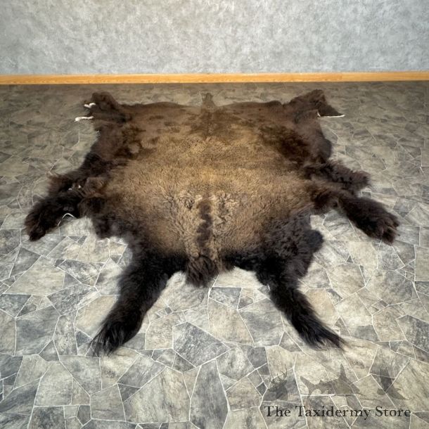 American Buffalo Bison Hide For Sale #28825 - The Taxidermy Store