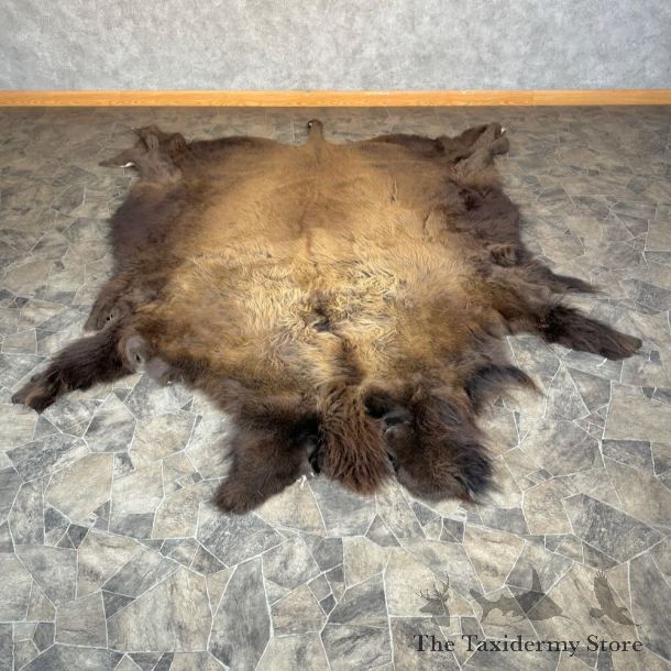 American Buffalo Bison Hide For Sale #28828 - The Taxidermy Store