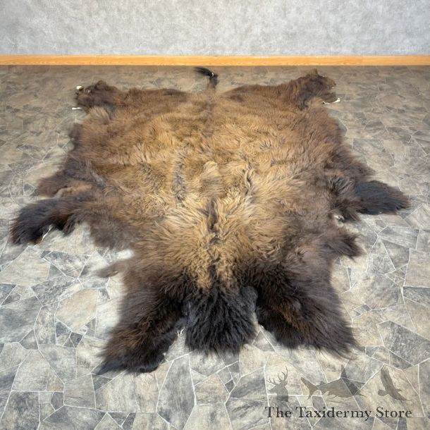American Buffalo Bison Hide For Sale #28829 - The Taxidermy Store