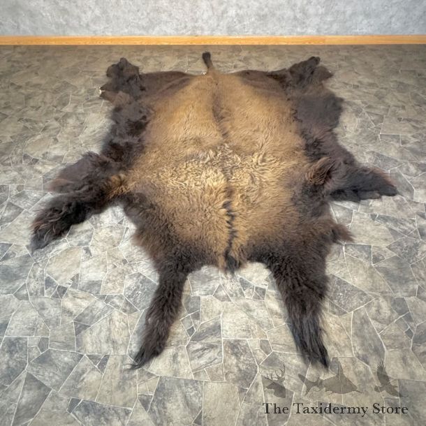 American Buffalo Bison Hide For Sale #28829 - The Taxidermy Store