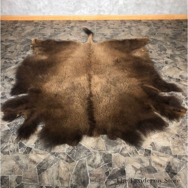 American Buffalo Bison Taxidermy Hide For Sale #20078 - The Taxidermy Store