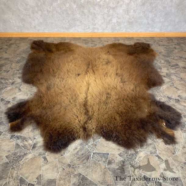 American Buffalo Bison Taxidermy Hide For Sale #23316 - The Taxidermy Store