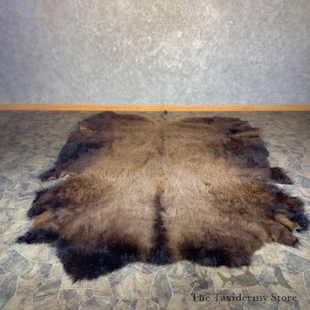 American Buffalo Bison Taxidermy Hide For Sale #23996 - The Taxidermy Store