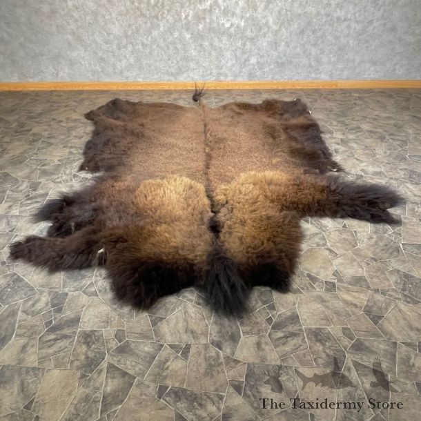 American Buffalo Bison Taxidermy Hide For Sale #24680 - The Taxidermy Store