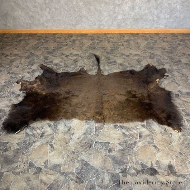 American Buffalo Throw Rug Taxidermy Mount #21862 For Sale @ The Taxidermy Store