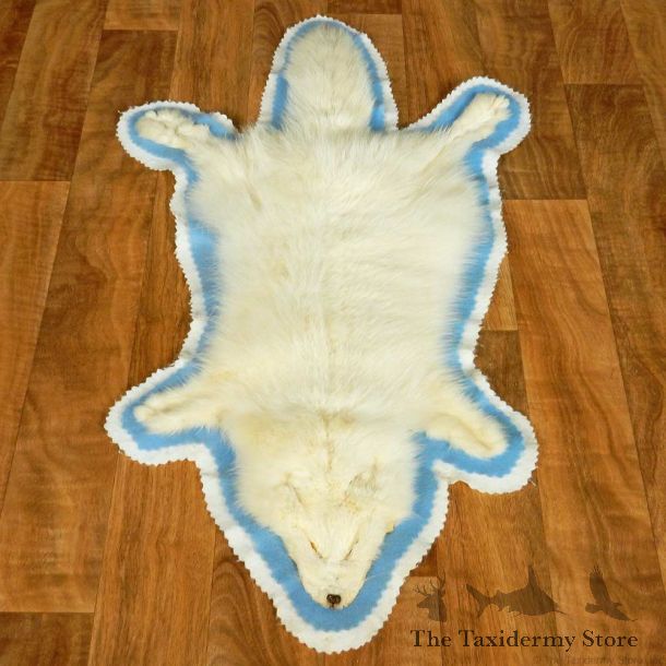 Arctic Fox Full Rug #13376 For Sale @ The Taxidermy Store