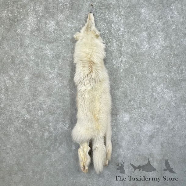 Arctic Wolf Tanned Hide For Sale #25343 @ The Taxidermy Store