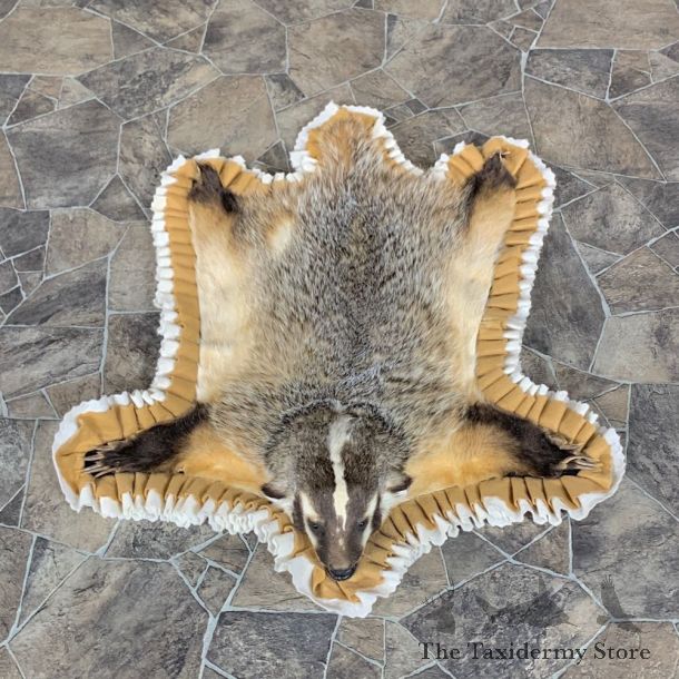 Badger Full-Size Rug Mount For Sale #23335 @ The Taxidermy Store