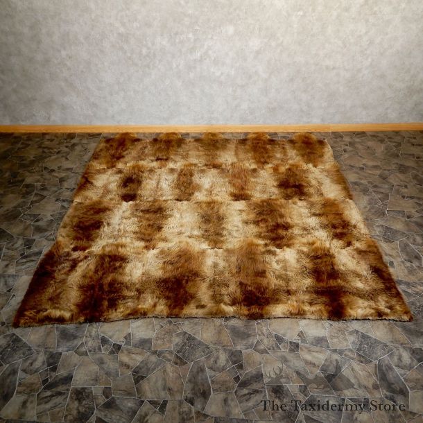 Beaver Skin Rug Hide Blanket For Sale #19262 @ The Taxidermy Store