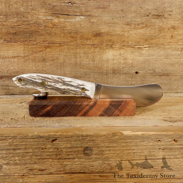 Beavertail Trapper Skinning Knife For Sale #19182 @ The Taxidermy Store