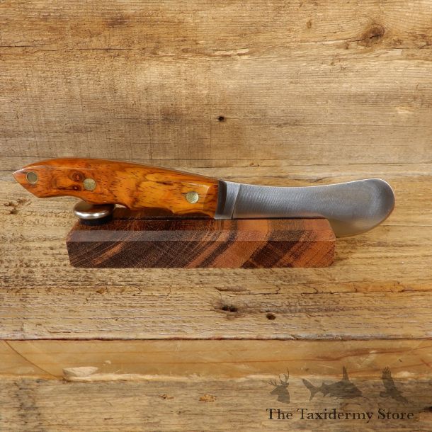 Beavertail Trapper Skinning Knife For Sale #19206 @ The Taxidermy Store