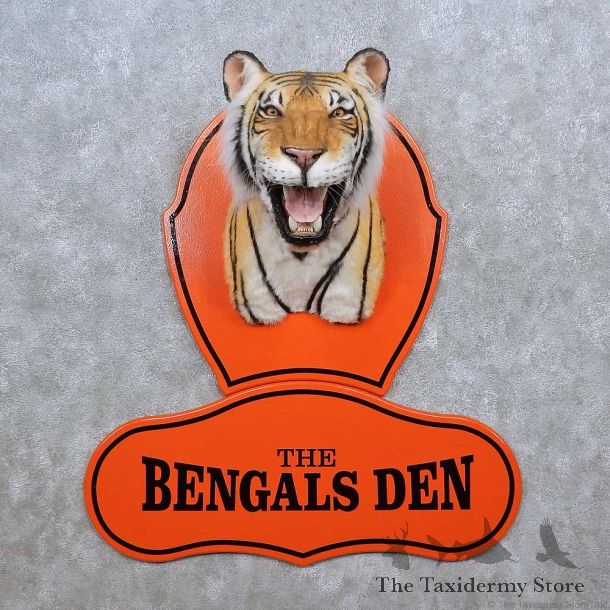 The Bengals Den Shoulder Mount For Sale #15611 @ The Taxidermy Store