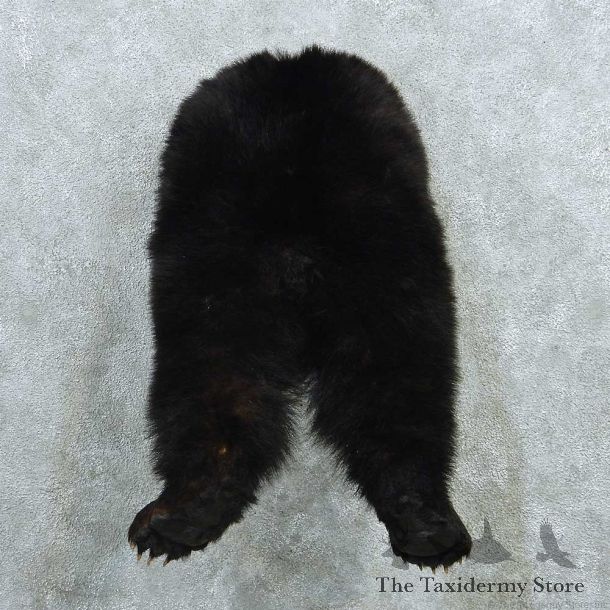 Black Bear Butt Mount #13739 For Sale @ The Taxidermy Store