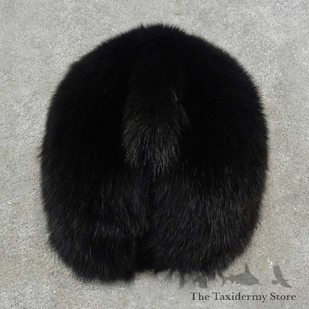 Black Bear Novelty Butt Mount For Sale #16619 @ The Taxidermy Store