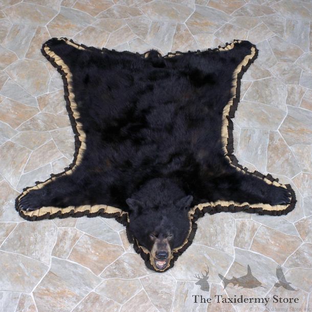 Black Bear Taxidermy Rug For Sale #11161 For Sale @ The Taxidermy Store