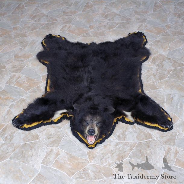 Black Bear Taxidermy Rug Mount #12340 For Sale @ The Taxidermy Store