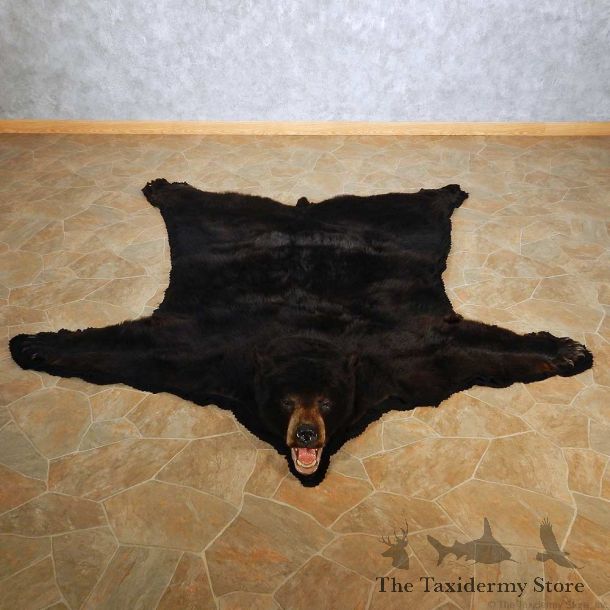 Black Bear Full Size Rug For Sale #14602 @ The Taxidermy Store