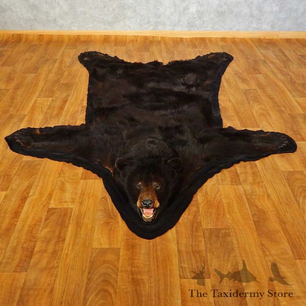 Black Bear Full-Size Rug For Sale #16606 @ The Taxidermy Store