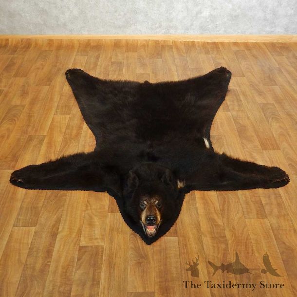 Black Bear Full-Size Rug For Sale #16637 @ The Taxidermy Store