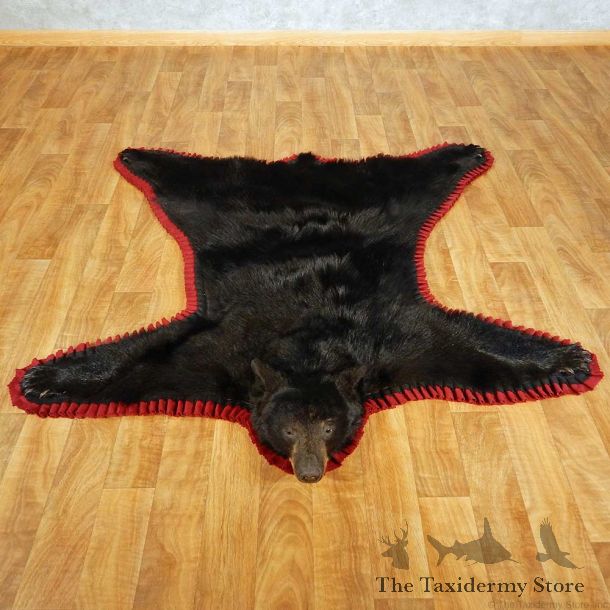 Black Bear Full-Size Taxidermy Rug #13378 For Sale @ The Taxidermy Store
