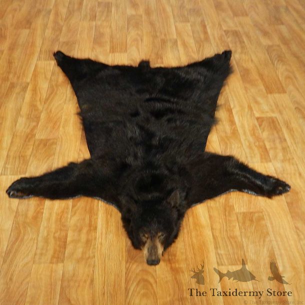 Black Bear Full-Size Taxidermy Rug #13379 For Sale @ The Taxidermy Store