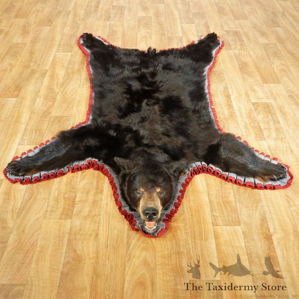 Black Bear Full-Size Taxidermy Rug #13380 For Sale @ The Taxidermy Store