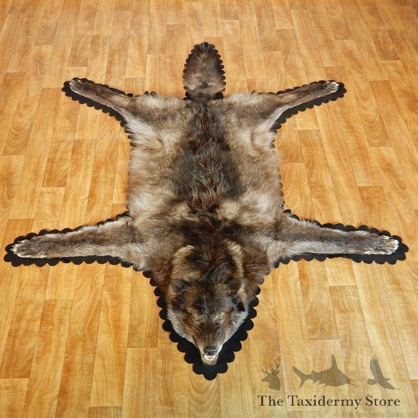 Black Wolf Rug Taxidermy Mount #13006 For Sale @ The Taxidermy Store