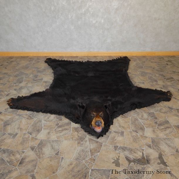 Black Bear Full-Size Rug For Sale #18973 @ The Taxidermy Store