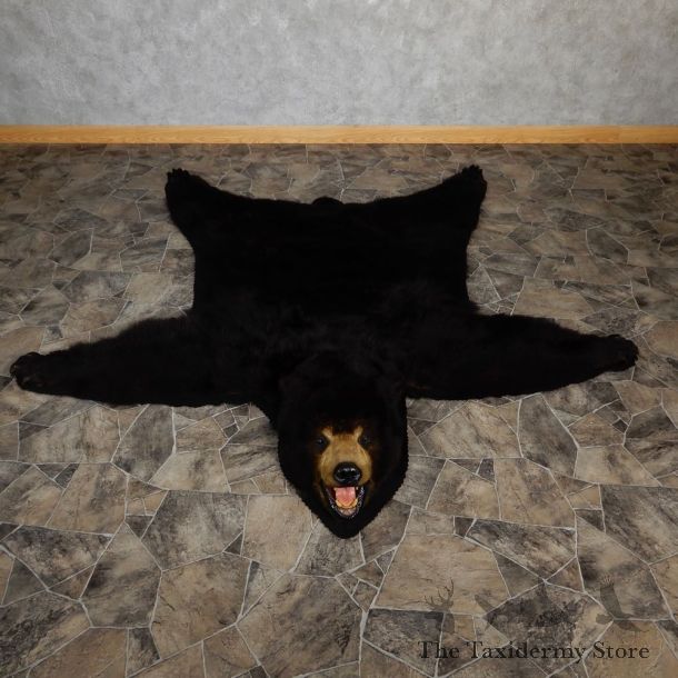 Black Bear Full-Size Rug For Sale #18979 @ The Taxidermy Store