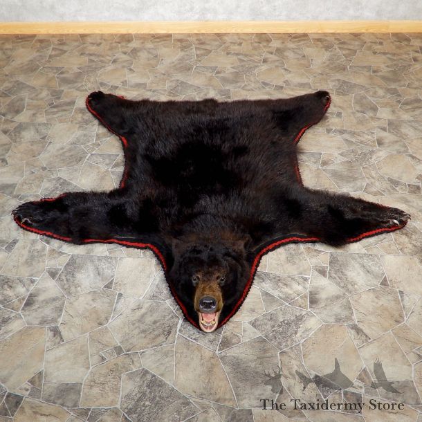 Black Bear Full-Size Rug For Sale #19316 @ The Taxidermy Store