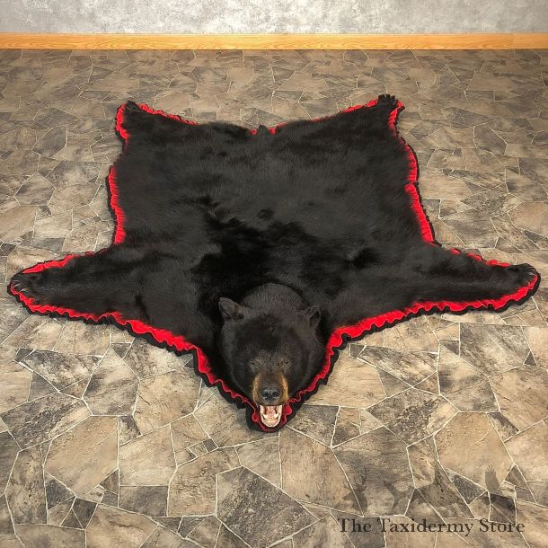 Black Bear Full-Size Rug For Sale #20083 @ The Taxidermy Store